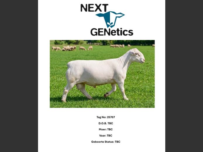 25707 | NEXT GENETICS WITDORPERS