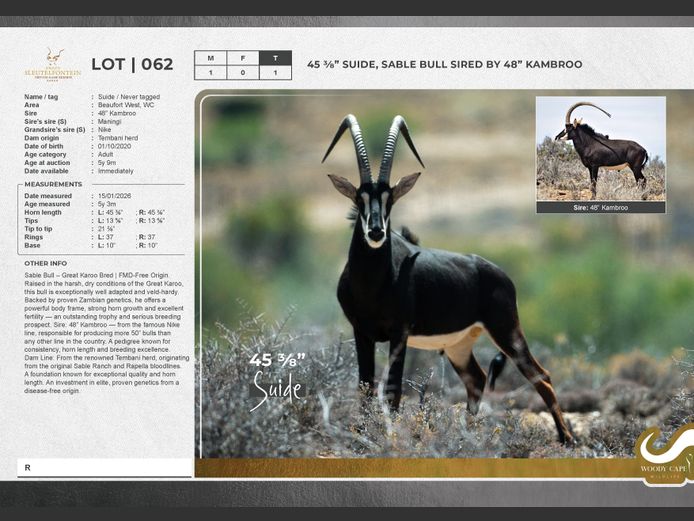 Sable | Groot Sleutelfontein (Pty) Ltd.