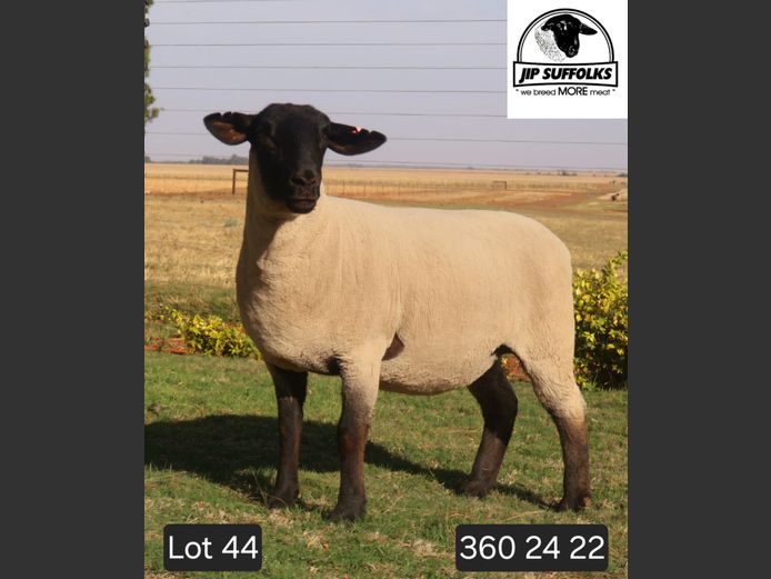 360240022 | J.I. POTGIETER