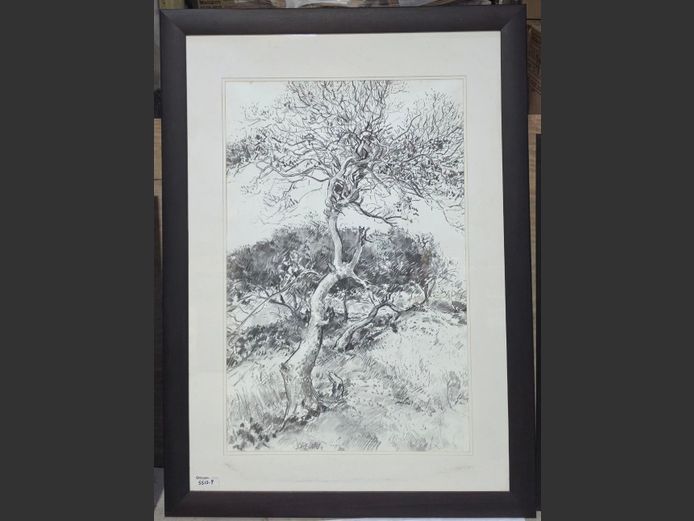 LARGE FRAMED TREE SKETCH " BREDIN" 