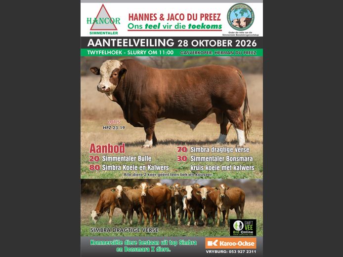 HANCOR SIMMENTALERS AANTEELVEILING