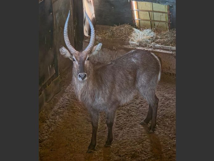 WATERBOK | REA LORA