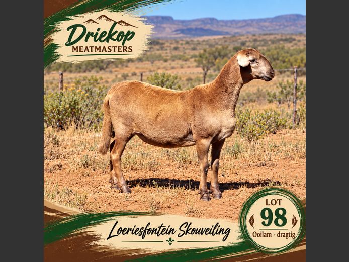 Driekop Meatmasters