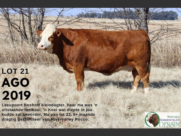 AGO2019 | AG ODENDAAL