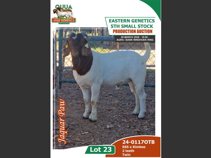 24-0117OTB | OUUA STUD GENETICS