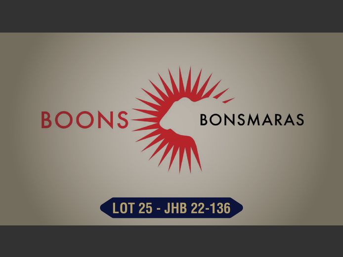 JHB220136 | BOONS BOERDERY CC