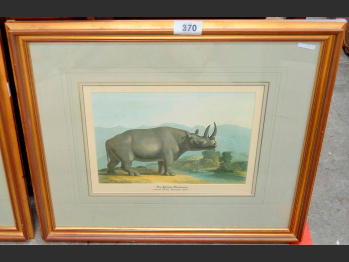 GILT FRAMED PRINT "THE AFRICAN RHINOCEROS" SIGNED SAMUEL DANIEL 1805, 45 x 32cm