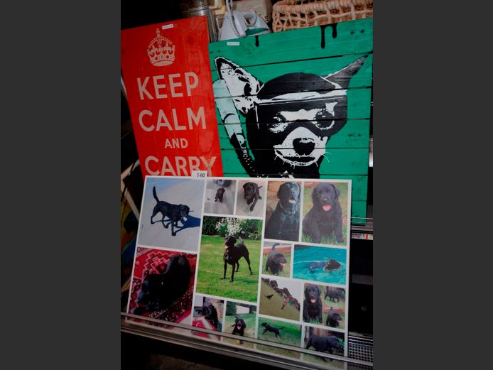 TEDDY BODEN PAINTING, UNFRAMED PHOTOGRAPH OF DOGS & ANOTHER, 84 x 59cm, 76 x 40cm & 68 x 54cm