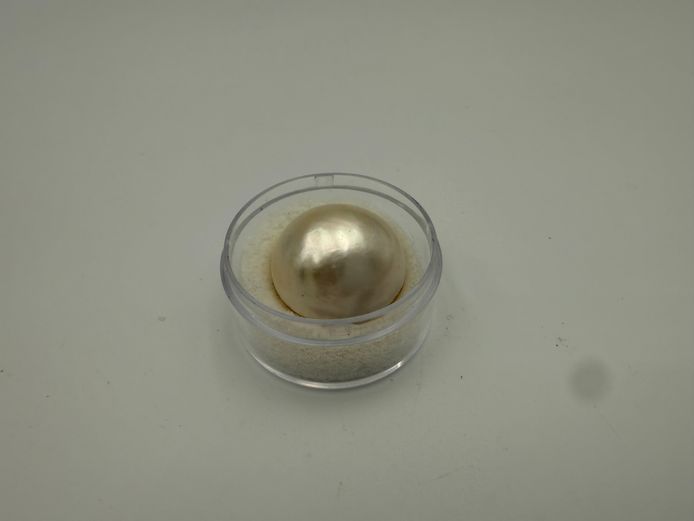 Mother of pearl - big