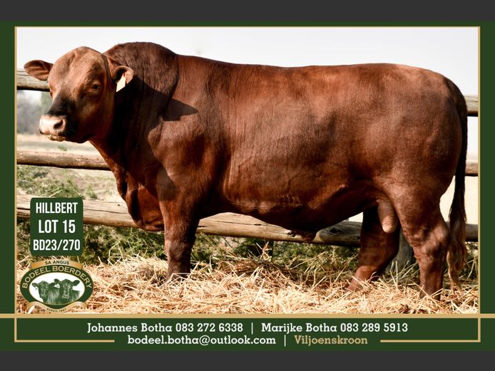 BD 230270 | BODEEL BOERDERY