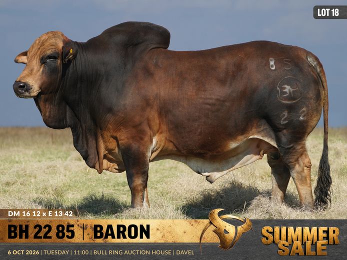 BH220085 | B. HURWITZ FARMING