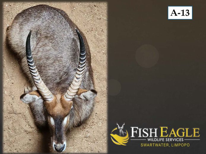WATERBOK
