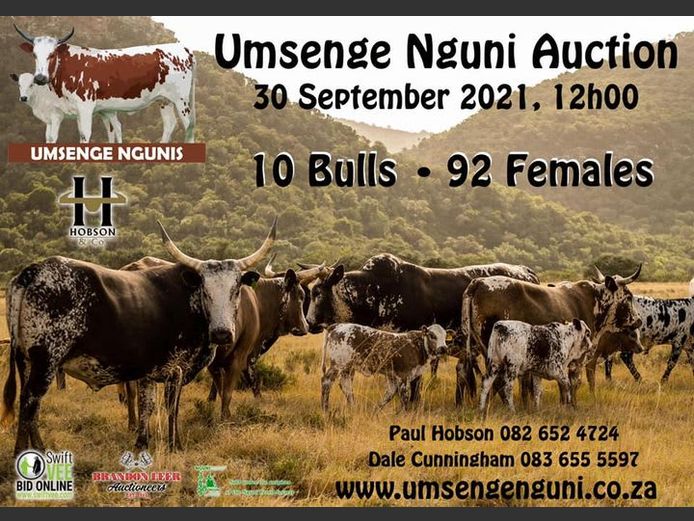 UMSENGE NGUNI AUCTION | SwiftVEE | South Africa’s Leading Online ...