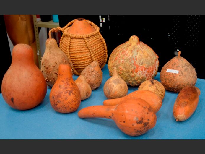COLLECTION CALABASHES