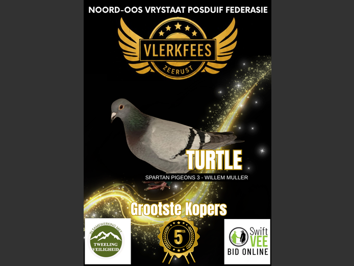 TURTLE | SPARTAN PIGEONS 3 - WILLEM MULLER