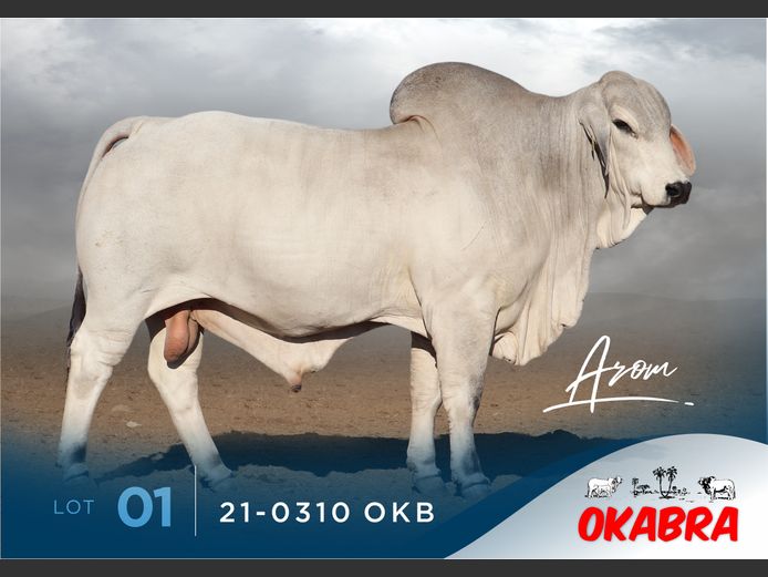 21-0310 OKB