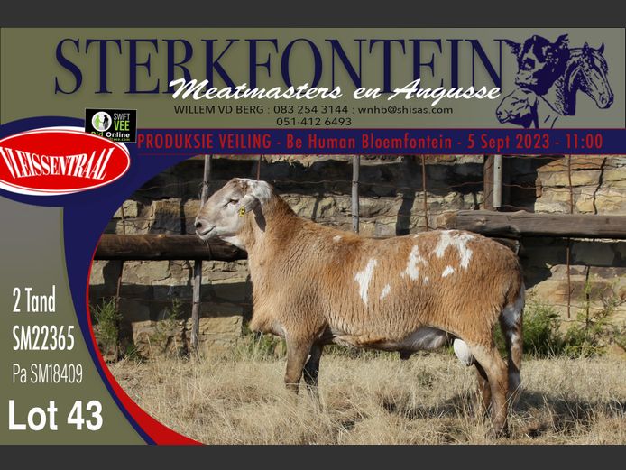 SM 22 365 | Sterkfontein Meatmasters