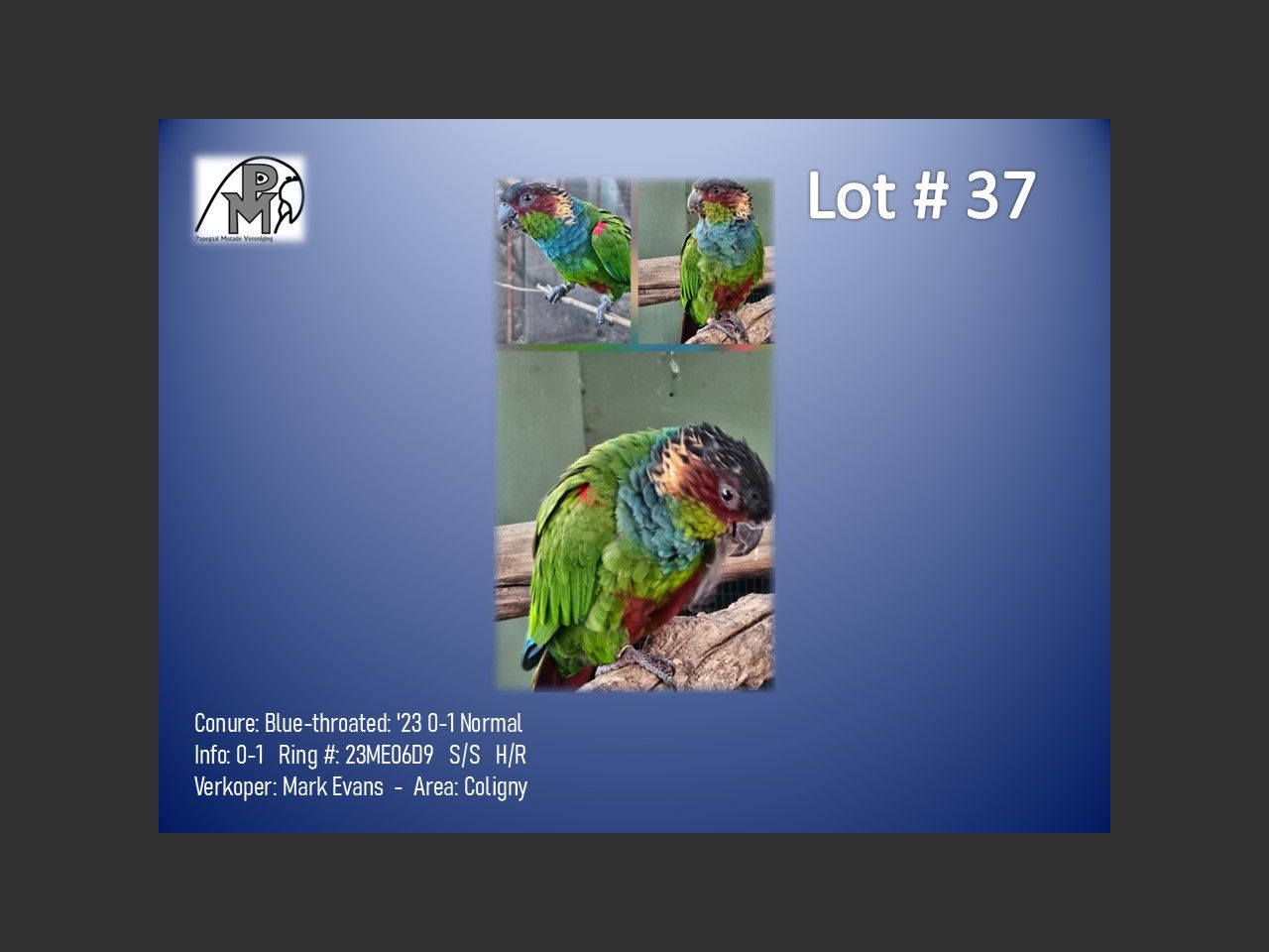 images
