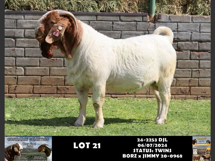 24-2253 DJL | DIRK LOUW