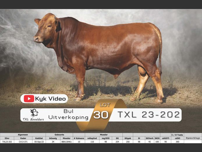 TXL23-202