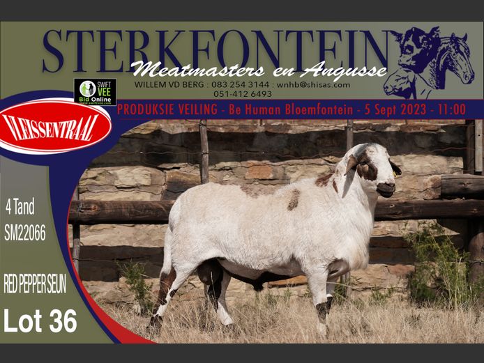 SM 22 066 | Sterkfontein Meatmasters