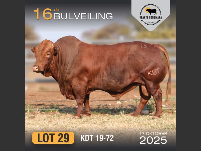 KDT 190072 | FRITS KROON BOERDERY