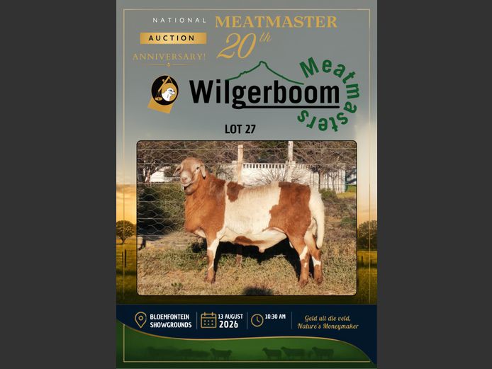 WS 254079 | WILGERBOOM BOERDERY