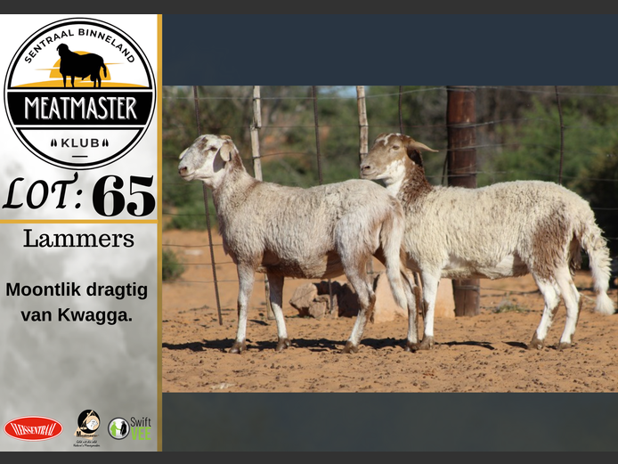 Ooie | Vrede Meatmasters