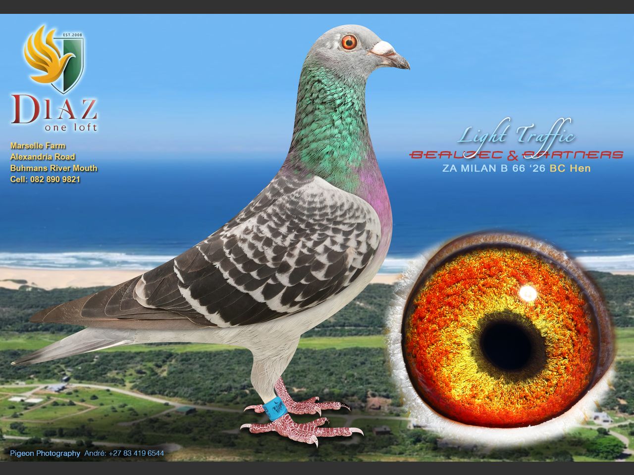 images