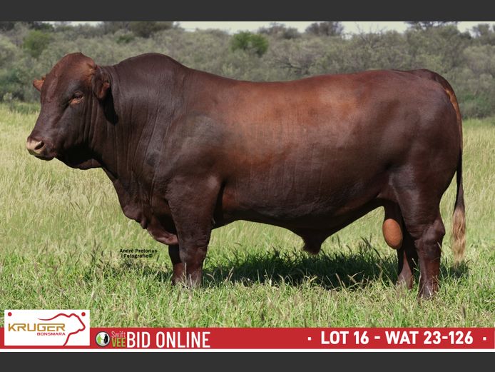 WAT 230126 | KRUGER BOERDERY