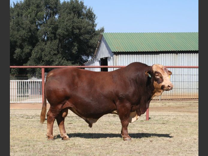 JMS19414C | WP LUBBE