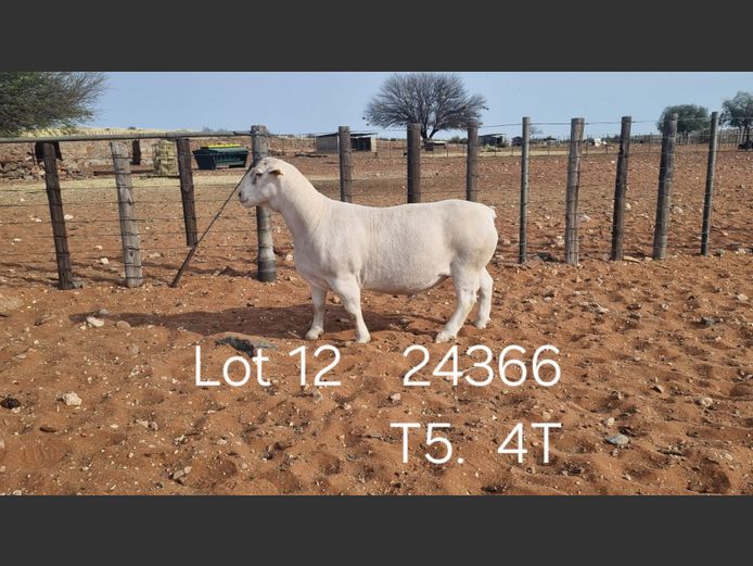 916240366W | R.J. CAHI & SON CC