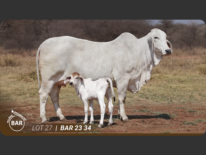 BAR2334 | BARNARD WJ