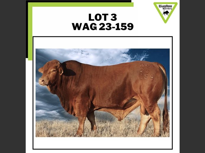 WAG 230159 | WAGNOU BOERDERY