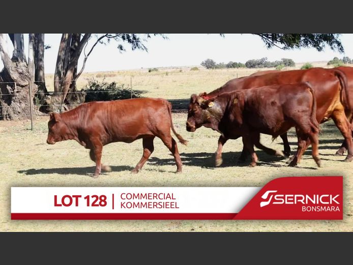 Commercial Animals
