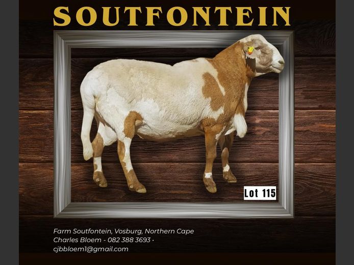 DVB 210220 | SOUTFONTEIN MEATMASTERS