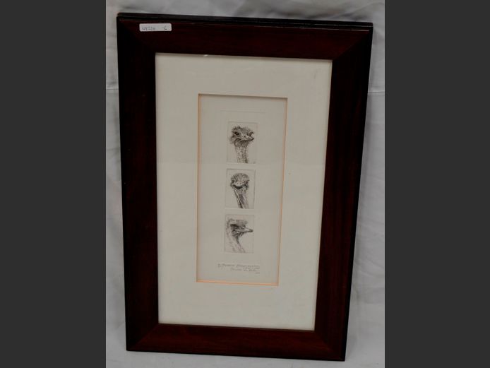 BRAAM KRUGER "OSTRICH", 23 x 4.5cm