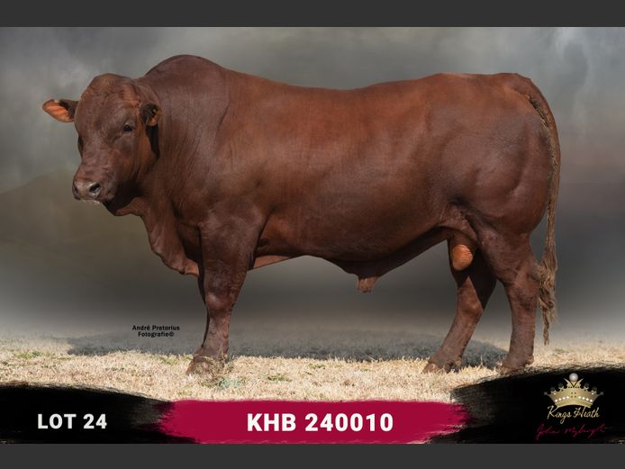 KHB 240010