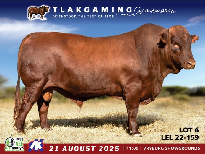 LEL220159 | LEE & SON