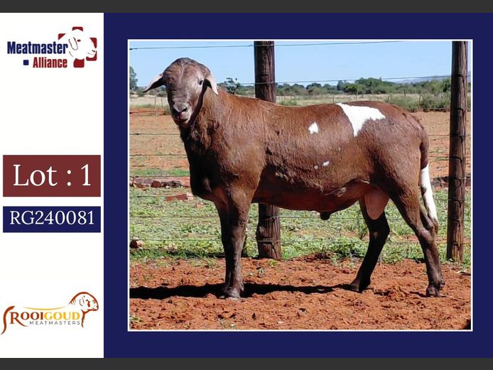 E4231 | Rooigoud Meatmasters