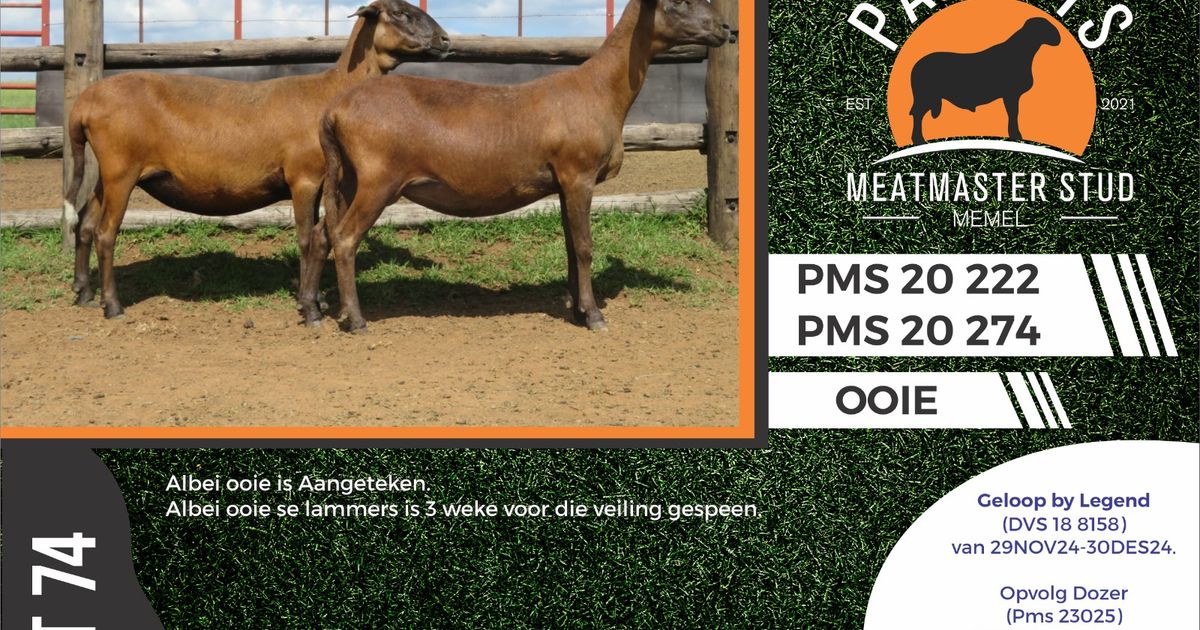 Lot 74B | THE GREAT OUT OF AFRICA MEATMASTER SALE | SwiftVEE | South ...
