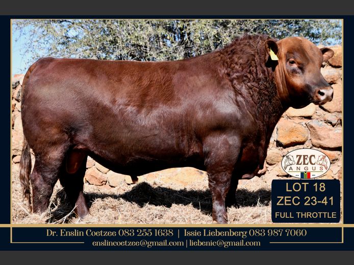 ZEC 230041 | Z.E. COETZEE