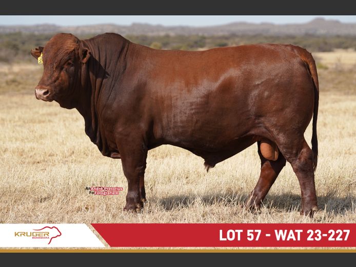 WAT230227 | KRUGER BOERDERY