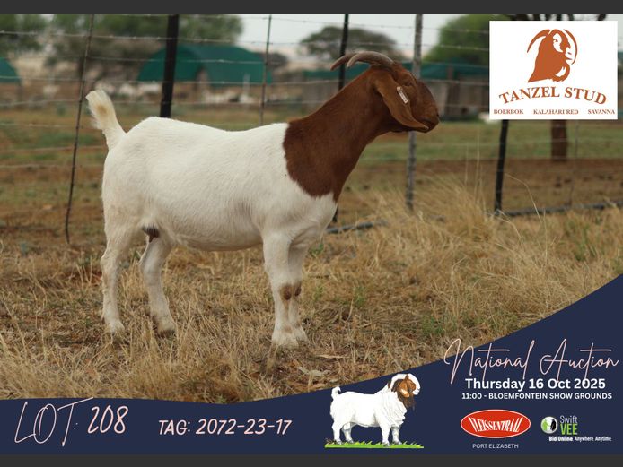 2072-23-17 | Theunis Nel (Tanzel)
