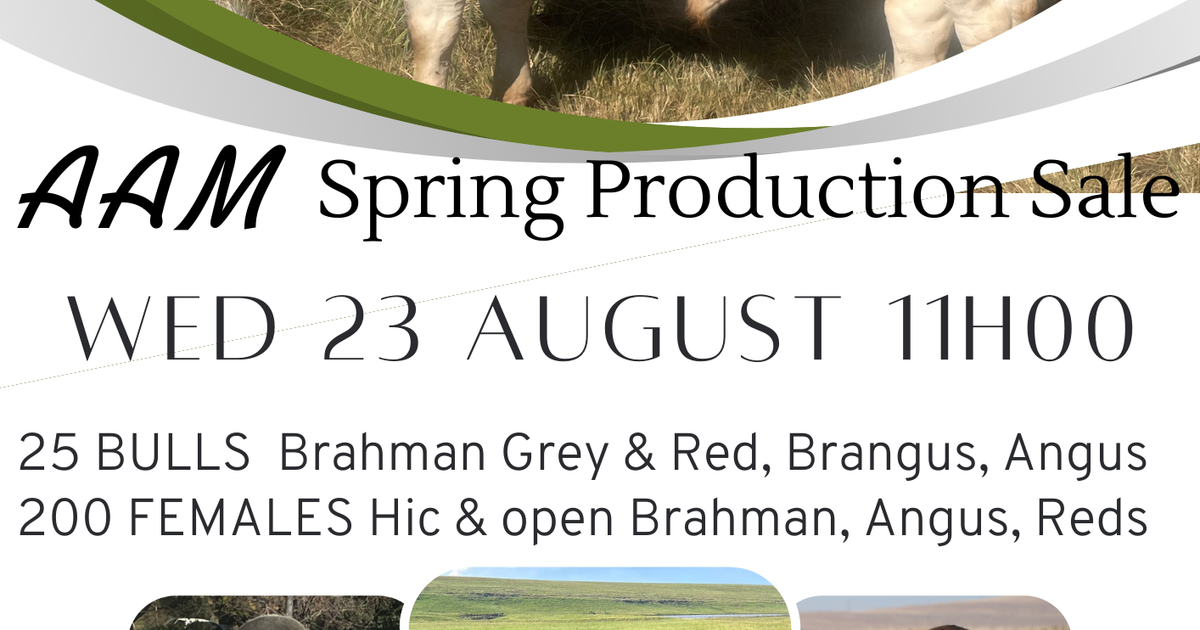 AAM SPRING PRODUCTION SALE SwiftVEE Livestock & Cattle Webcast Auctions