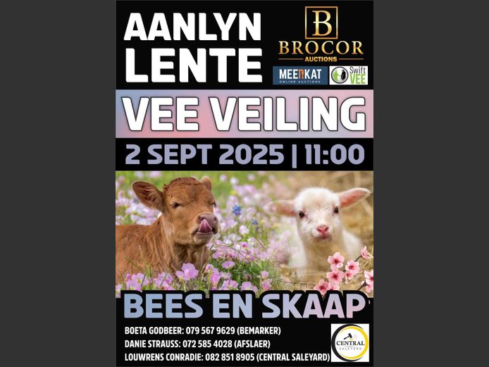 AANLYN LENTE VEE VEILING