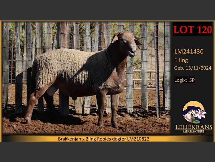 LM241430 | LELIEKRANS MEATMASTERS