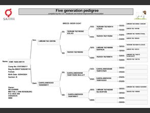 genetic_data