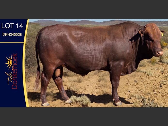 DKH240038 | DONKERHOEK BOERDERY TRUST