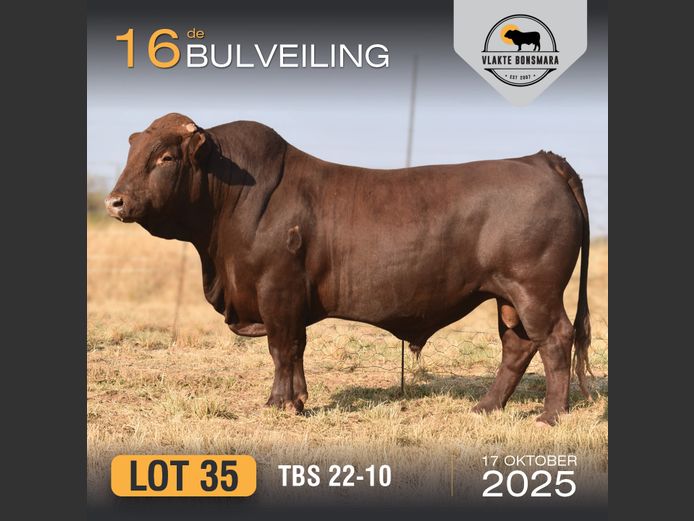 TBS 220010 | THABA KWENA BONSMARAS